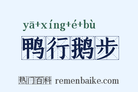 鸭行鹅步是什么意思的图片